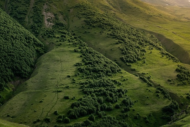 Aerial view of contour farming on a hillside with curved crop rows following the natural slope