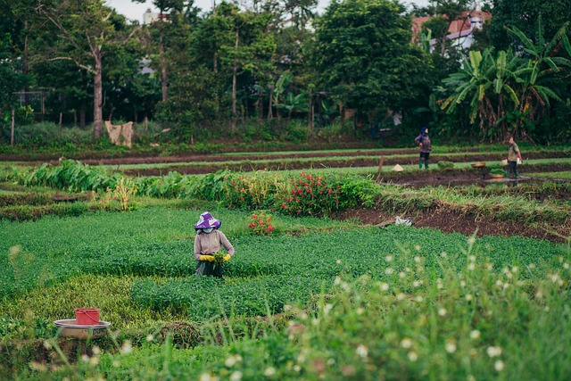 Agricultural advisor reviewing soil conservation plans with a farmer in a field